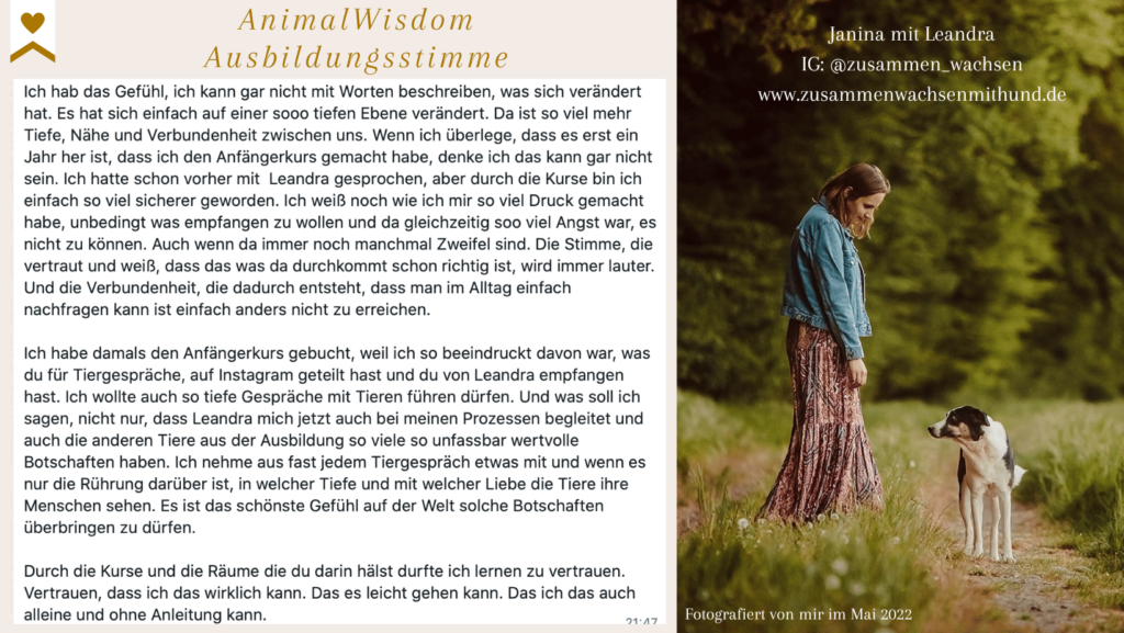 Tierkommunikation Ausbildung