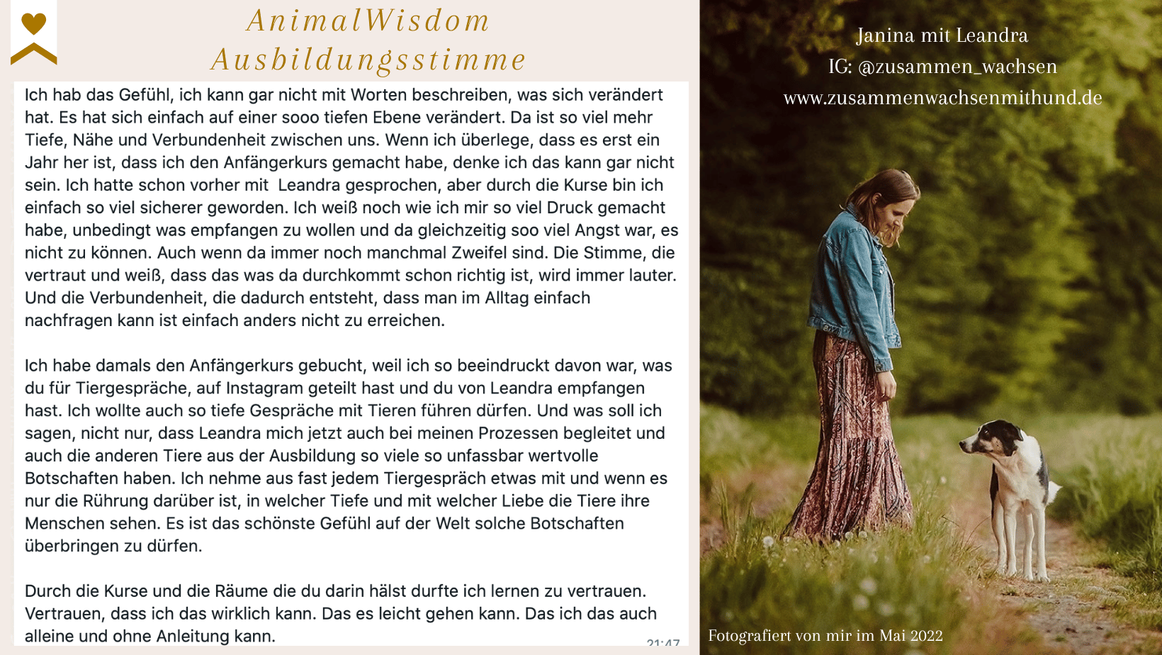 Tierkommunikation Ausbildung