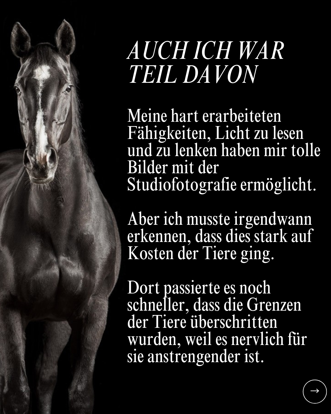 Achtung Neuausrichtung.zip - 11