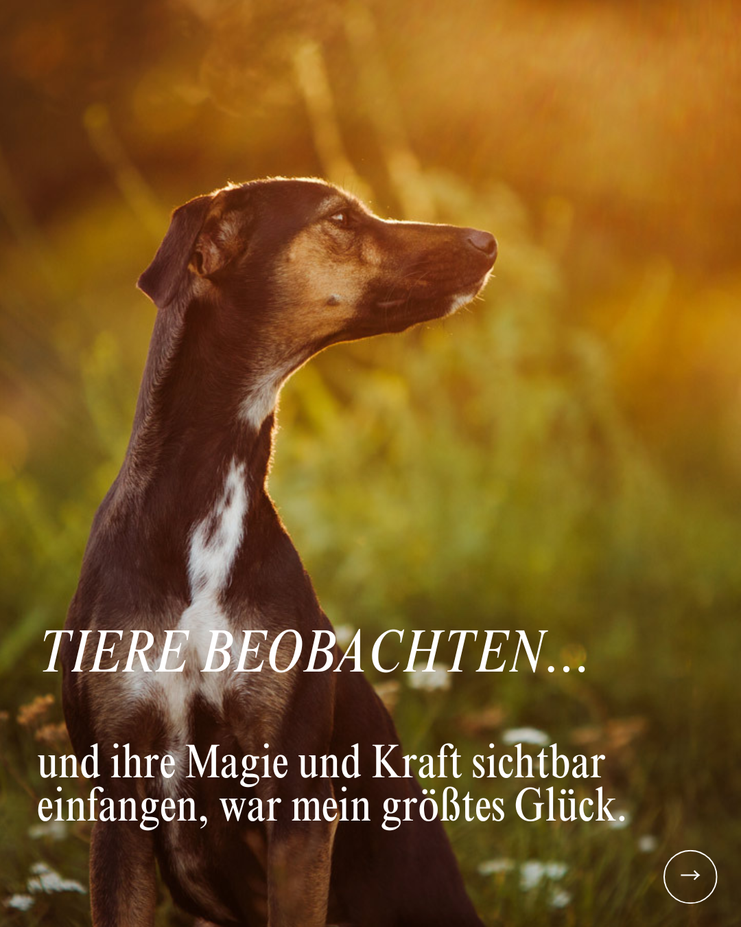 Achtung Neuausrichtung.zip - 6