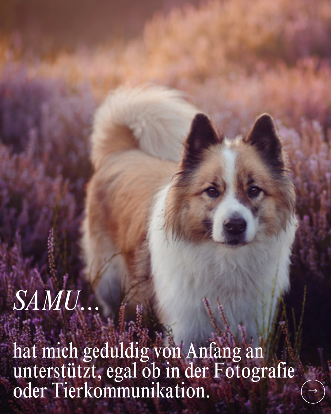 Achtung Neuausrichtung.zip - 7