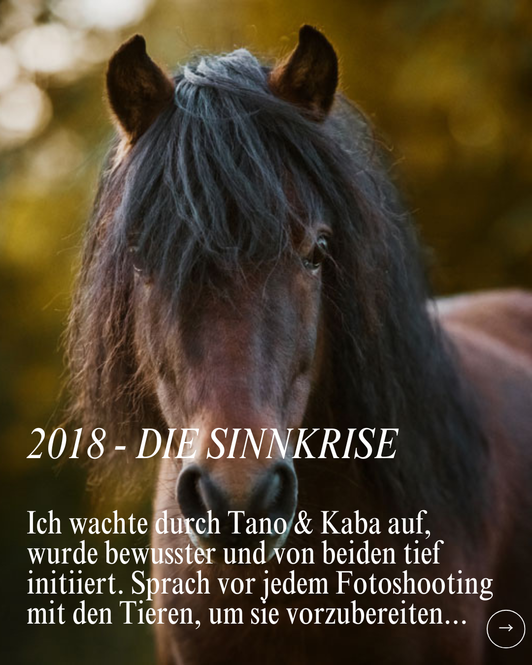 Achtung Neuausrichtung.zip - 8